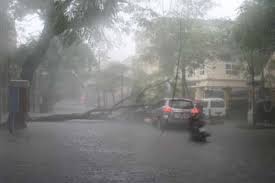 Bắc Bộ sẽ mưa to trong hai ngày tới