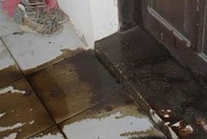 Đòi nợ bằng tiết lợn, mắm tôm và cá thối
