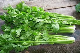 Những công dụng chữa bệnh quý báu của cần tây