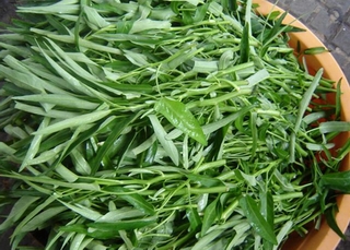 Tác dụng của rau muống ít người biết