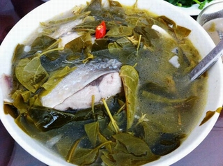 Ngộ độc tập thể vì &quot;canh cá Ồ nấu với lá Giang&quot;