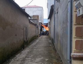 Đòi nợ không được, giết chị dâu, đâm anh trai bất tỉnh