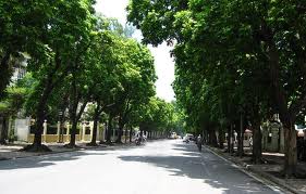 Hà Nội: Đề xuất chi 15 tỷ sửa đường Trần Hưng Đạo