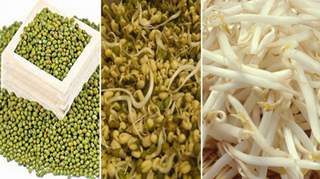 Ăn giá đỗ có thể cải thiện &quot;bản lĩnh đàn ông&quot;