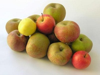 Những “thần dược” giúp giảm đau dạ dày