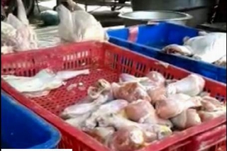 Kiểm tra gà đông lạnh có xuất xứ Trung Quốc