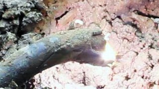 Bước đầu giải mã hiện tượng &quot;núi lửa&quot; giữa phố