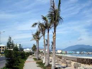 Chuẩn bị phòng chống sự hủy diệt của bão HaiYan