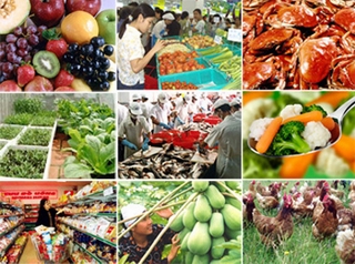 An toàn thực phẩm ảnh hưởng đến nòi giống