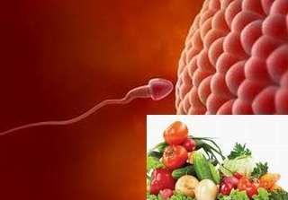 Những thực phẩm tăng cường khả năng của đàn ông