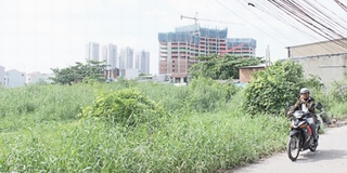 Hà Nội đề xuất cho sử dụng tạm thời đất “treo”
