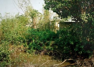 Nam Định: Có hay không việc doanh nghiệp phá mộ cổ?