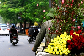 Dự báo thời tiết dịp Tết Nguyên Đán 2014