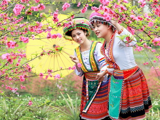 Du Xuân Giáp Ngọ 2014 - &quot;Món ngon&quot; trong thực đơn Tết của VTV2