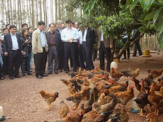 Bộ Y tế thành lập 5 đoàn kiểm tra về cúm