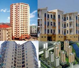 Bất thường Thông tư vô hiệu hóa Luật