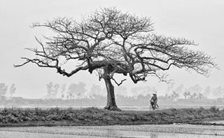 Bắc Bộ vẫn có không khí lạnh trong tháng 3