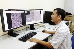 Vệ tinh Việt Nam chụp vùng nghi vấn máy bay mất tích