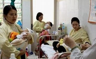 Không phát hiện ổ dịch lớn tại Hà Nội