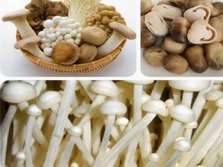 Hà Nội chưa phát hiện nấm mất an toàn