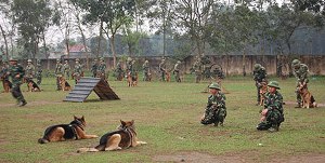  &quot;Vũ khí đặc biệt&quot; của Bộ đội Biên phòng Việt Nam