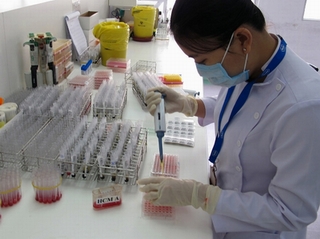 100 ca ghép tế bào gốc thành công