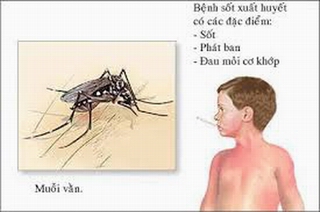 Hơn 9.000 trường hợp mắc sốt xuất huyết trên cả nước