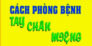  Cách phòng tay chân miệng bằng hình ảnh