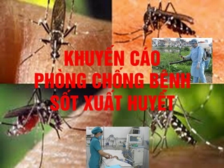 Bộ Y tế khuyến cáo phòng chống bệnh sốt xuất huyết