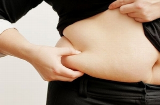 Thịt mỡ là nguyên nhân gây béo phì?