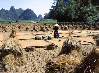 Nắng nóng xuất hiện ở miền Bắc và miền Trung