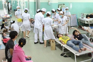 Bộ Y tế tiến hành điều tra, xử ký vụ ngộ độc quả rừng
