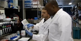 WHO: Sẽ có vắcxin phòng Ebola vào năm 2015