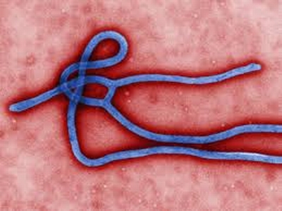 Bộ Y tế bác tin đồn Việt Nam có người mắc Ebola