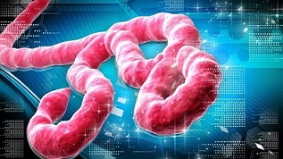 Điều trị bệnh Ebola sẽ không mất phí