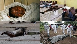 Những hình ảnh rùng rợn từ tâm dịch Ebola