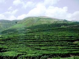Thủ tướng phê chuẩn nhân sự 2 tỉnh