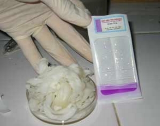 TP.HCM: Phát hiện bánh phở chứa Formol