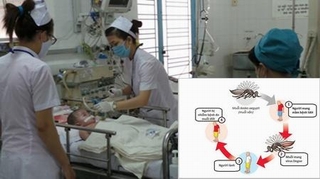 Dấu hiệu trẻ bị sốt xuất huyết
