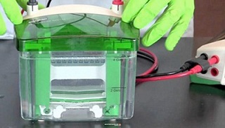 52 đơn vị liên quan đến nghi án Bio-Rad