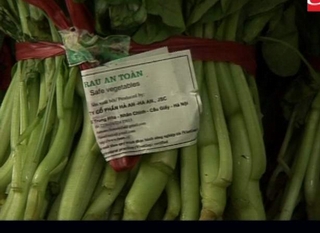  Rau an toàn có thực sự an toàn?
