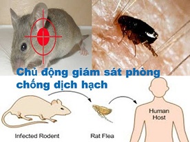 Khẩn cấp phòng dịch hạch vào Việt Nam