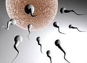 Ai có thể bơm tinh trùng vào tử cung?