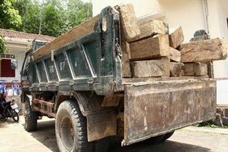 Đề nghị điều tra vụ lâm tặc lái xe đâm chết kiểm lâm