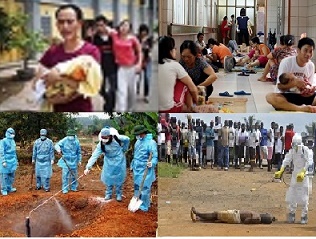 Choáng váng những dịch bệnh hoành hành năm 2014