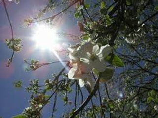 Đầu tuần tới, Bắc Bộ hửng nắng, hết rét đậm