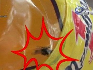 Thực hư vụ “con ruồi giá 500 triệu&quot;