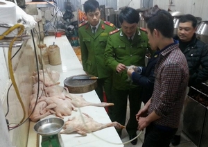 Vịt không kiểm dịch thành vịt quay vàng óng