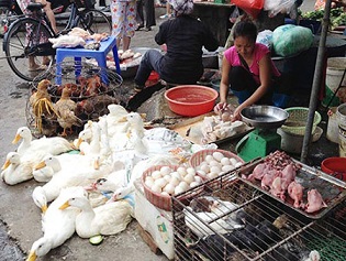 Xuất hiện ca nhiễm cúm A(H5N6) đầu tiên tại Trung Quốc