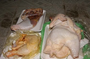 Cách nhận biết gà thải loại